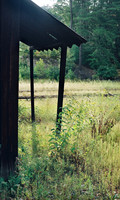 Canon AE-1 Program