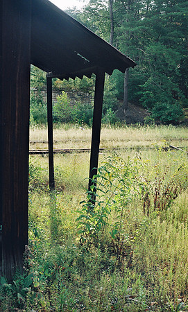 Canon AE-1 Program