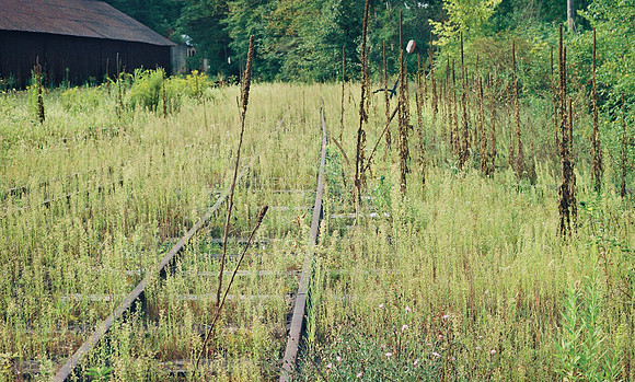 Canon AE-1 Program