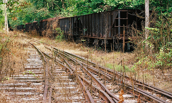 Canon AE-1 Program