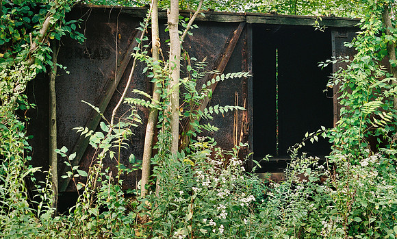 Canon AE-1 Program
