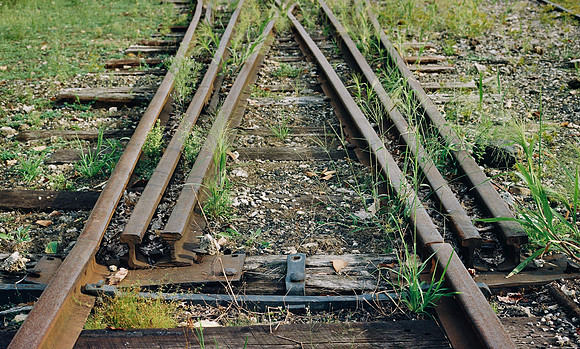 Canon AE-1 Program