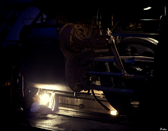 ...home to the shadows...